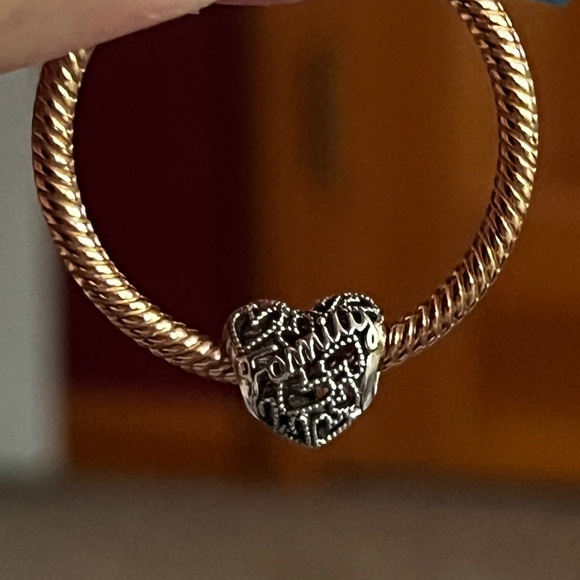 Pandora Family Heart Charm - Picture 2 of 16